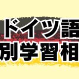 【個別60分】ドイツ語・ドイツ語学習相談【オンライン｜マンツーマン｜ドイツ語勉強｜ゲーテ・telc試験対策合格実績多数】