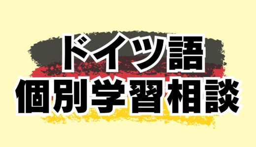 【個別60分】ドイツ語・ドイツ語学習相談【オンライン｜マンツーマン｜ドイツ語勉強｜ゲーテ・telc試験対策合格実績多数】